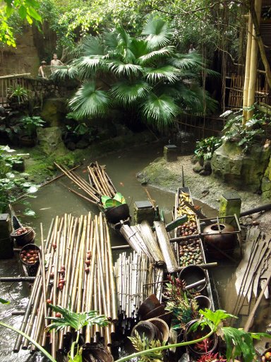 Teich im Jungle-Dome